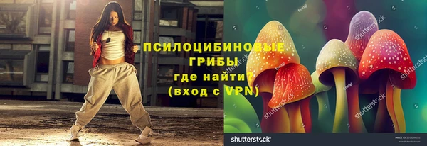 спиды Алексин