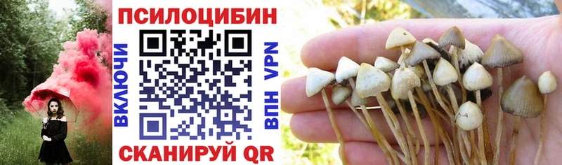 Псилоцибиновые грибы прущие грибы  Алексин 