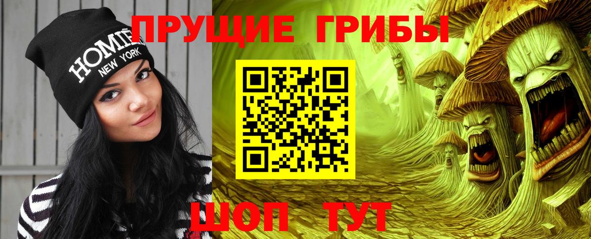 Алексин  Галлюциногенные грибы мицелий  Вход с VPN  Псилоцибиновые грибы мухоморы 