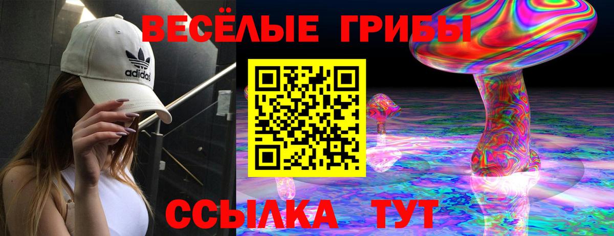 Псилоцибиновые грибы прущие грибы Алексин